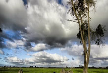 [欧冠]帕瓦尔解围失误 马德里竞技扳回一城.