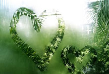 虎扑体育:每体:特尔施特根想赶及复出踢欧冠决赛,但注册.